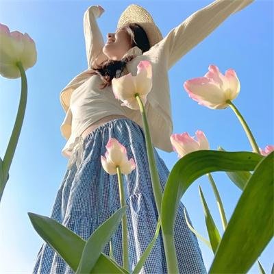 空中浩劫第二十四季